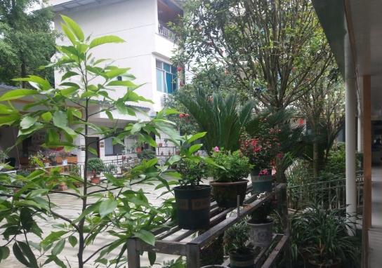 1636336266280024053.jpg 5c95d1347253abed244517810c7c2591.jpg