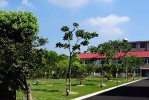 1677500394301009111.png 1677500394301009111.png