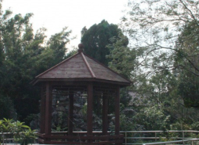 1681908383846023942.png 1681908383846023942.png