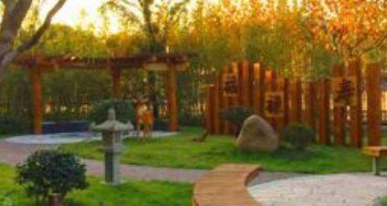 1685371166543039853.png 上海2.png