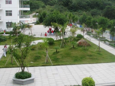 1690892985928099713.png 1690892985928099713.png