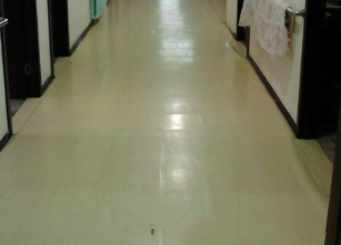 1691291743216085895.png 1691291743216085895.png