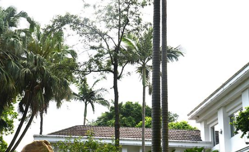 1693712186536082663.png 1693712186536082663.png