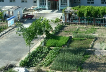 1693733593176023853.png 1693733593176023853.png