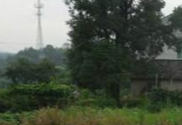 1696598343862672806.png 1696598343862672806.png