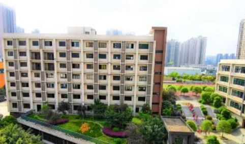 1699174302740038877.png 1699174302740038877.png