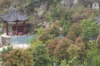 1699369402042088212.png 1699369402042088212.png