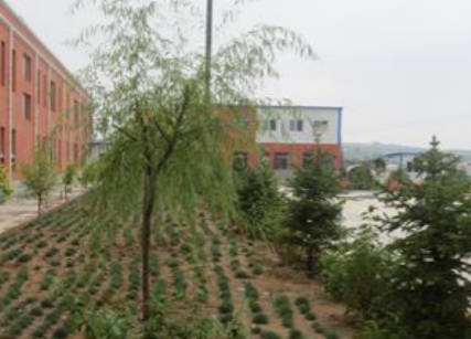 1699370865540007464.png 1699370865540007464.png