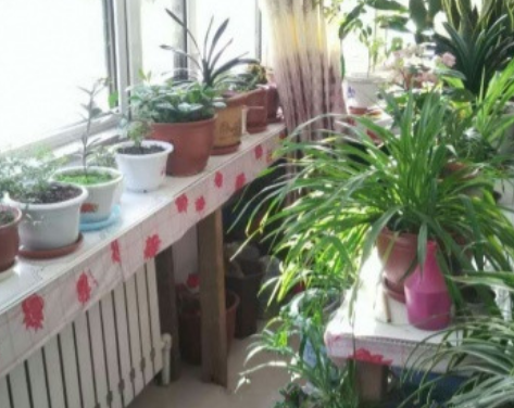 1699372282696069215.png 1699372282696069215.png