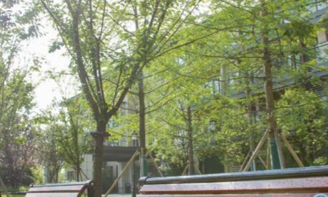 1701083152814015698.png 1701083152814015698.png