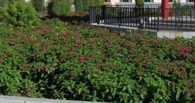 1701441806481097959.png 1701441806481097959.png