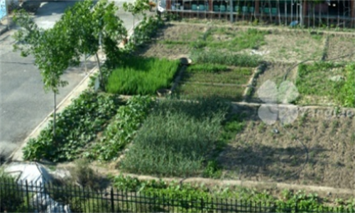 1701769545714047804.png 23.png