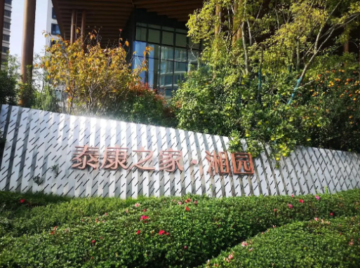 1729146993363077357.png 1729146989444.png