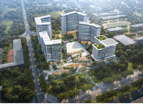 1730704453351069102.png 1730704449708.png