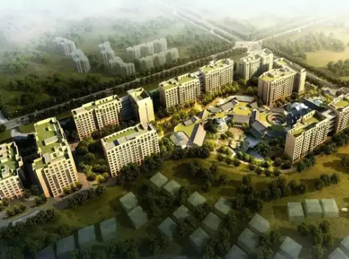 1731653719939065134.png 1731653718369.png