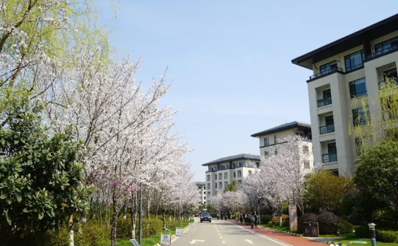 1731737732138066980.png 1731737729228.png