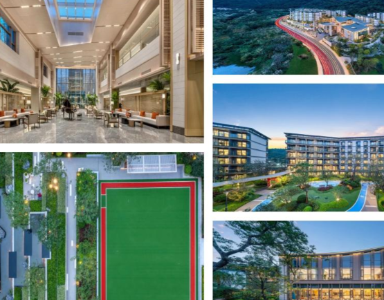 1733809766847039878.png 1733809760688.png