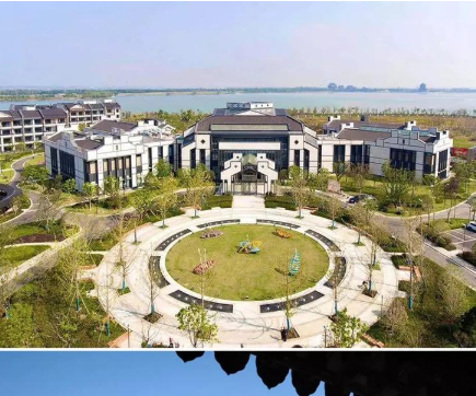 1736148885340042222.png 1736148880365.png