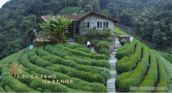 1736754051583070818.png 1736754042669.png