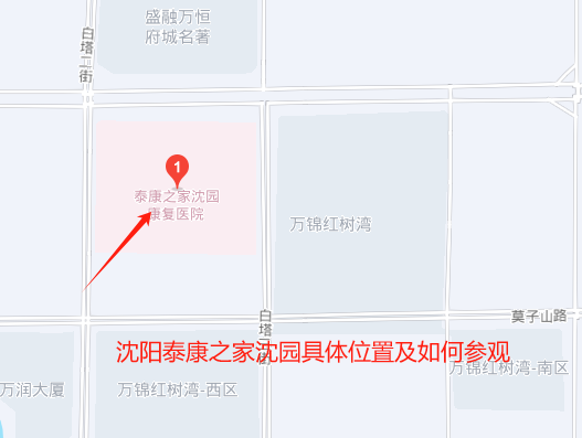 1744614820275021302.png 1744614816059.png