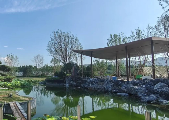 1752045181425044757.png 1752045167831.png